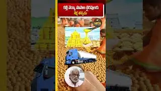 Tirumala Laddu Adulteration: SIT Final Report Ready! Will YV Subba Reddy Be Named?#TirumalaLaddu