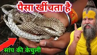 सांप की केंचुली मिल जाए तो छोड़ना मत करोड़ो मे खेलोगे, पैसा खुद चलकर आएगा आपके घर दौलत का लगेगा ढेर.