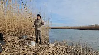 In search of fish, OFF-SEASON.