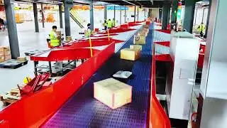 Modular Belt Sorter | Flexible & Efficient Sorting for Warehouses