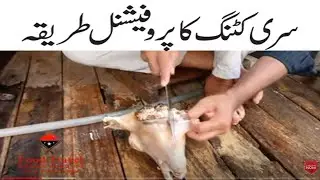 siri paya cutting ll amazing skills ll professionl butcher