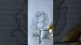 Realistic Beautiful Rose Drawing with pencil sketch #drawing #art #rose #easydrawing #flower