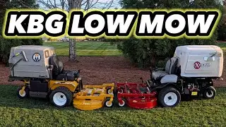 UNIQUE Lawn Mowers FACE OFF Low Mow KBG Which Mower Stripes The BEST?