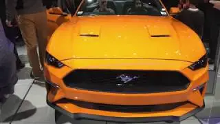 NAIAS 2018