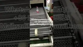 Customized high-temp IR tunnel oven, large-scale industrial IR tunnel dryer with conveyor line for d