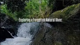 Exploring a Forgotten Natural River #ForgottenRiver #RiverExploration #WildRiver #HiddenRiver 