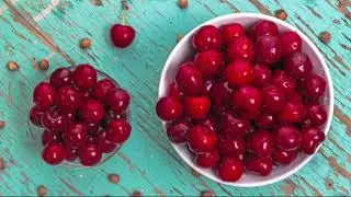 Roberta's 1-piece Hardy Joel Cherry Bush on QVC