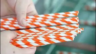 Paper Straws Supplier