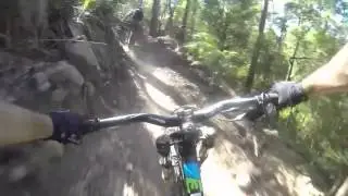 Blue derby jumps,crashes,ferns and berms-Tasmania