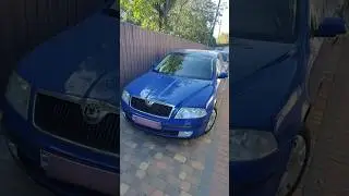 Octavia 2008 &bull; автомат &bull; 6300$ ❓🚗