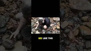 HUNTING For Flintknapping Stone With The People Of Toka Village In Guyana #survival #flintknapping