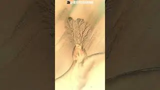 Sometimes Nature AMAZE Eveyone