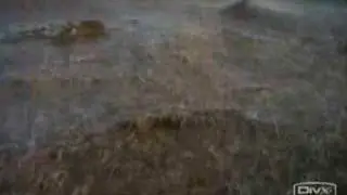 Water Conservation PSA