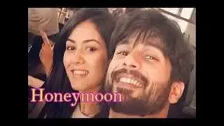 Shahid Kapoor and meera rajpur HONEYMOON Pics LEAKED
