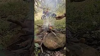 bike jungle