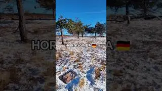 #travel #germany #shorts