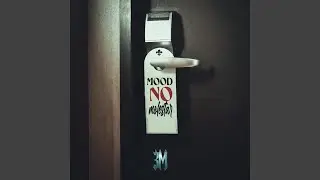 Mood No Molestar