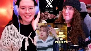 The Girlies are Fighting, and SO Happy! (She Looks So Perfect-5SOS- Cover by Gaon Reaction)