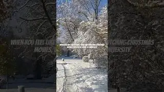 #polanddiaries #winter #snow #snowfall #vlog #weeklyvlog