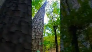 #lovehiking #beautiful #hikking #nature #hicking #love #360trail #travel #outdooractivities