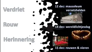 herinnering, rouw & verdriet
