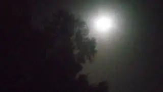 bhakkar Star  is live!