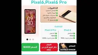 Pixel 6, Pixel 6 Pro Fiche technique