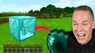 Minecraft, ABER WIR K&Ouml;NNEN IN BL&Ouml;CKE REINGEHEN