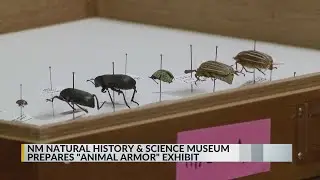 New Mexico Museum of Natural History & Science offering visitors preview of new exhibit