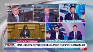 Ν. Ρωμανός, Λ. Καρχιμάκης, Γ. Καραμέρος μιλούν για τη διάταξη της οποίας έκανε χρήση η Κεφαλογιάννη.