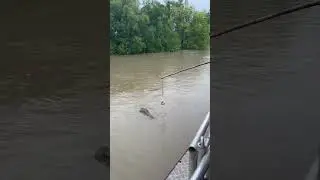Darwin crocodile river cruise