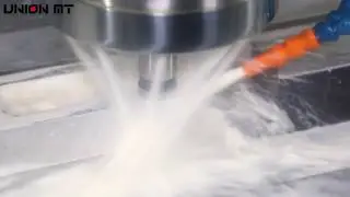 MV1000