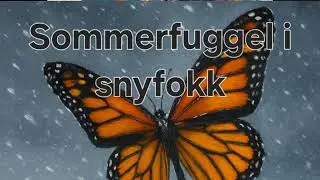 Sommerfuggel I snyfokk