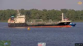 NOVA CAELI auf der Elbe &ndash; 12.08.2025 | Deichcam