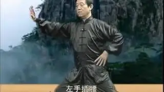 陳氏太極拳精要十八式4揽扎衣