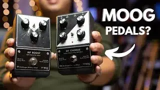 Moog MF Chorus & MF Boost Review and Demo!