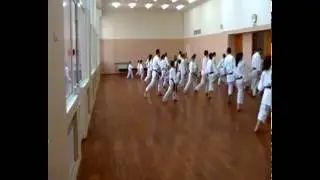 Даи Ни Кен / Dai Ni Ken Asai system kata teaching master Dormenko Andrey