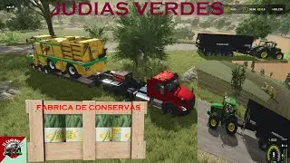 Judías Verdes, Fabrica de Conservas,