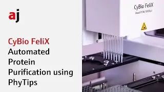 Flexible high-throughput protein purification with PhyTip&reg; Columns on the CyBio FeliX