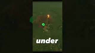 Where to find flame swords. The Legend of Zelda: Breath of the Wild