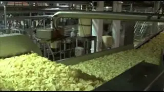 Simba Process Video