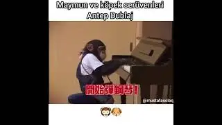 OKULA GİDEN MAYMUN HEKKO ( Antep Dublaj )