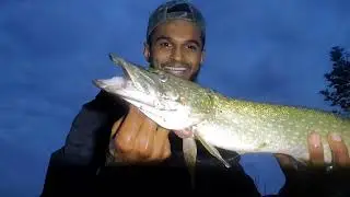 Fishing for Fish with Sharp teeth 😬 North America 🌎 Fishing