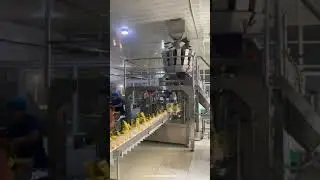 Automatic rotary bag filling sealing machine for premade bag pouch