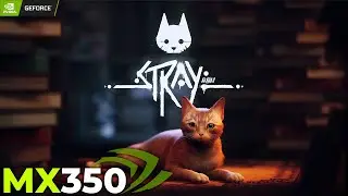 STRAY \ NVIDIA MX350 + 16GB RAM \ 1080p - 720p \ All Settings Gameplay Test.