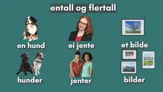Bøying av substantiv: Arabisk/Bokmål