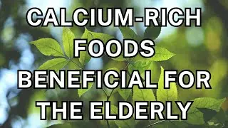 Calcium-rich foods beneficial for the elderly