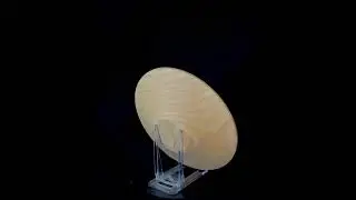 Shallow Ash bowl (21*3) with black lacquer and gold embellishing cream (CC107)