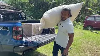 Koleksi terbaru abe kambing Pygmy.. kambing terkecik di dunia...