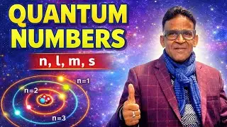 Quantum Numbers Chemistry | Class 11 | n l m s | JEE NEET